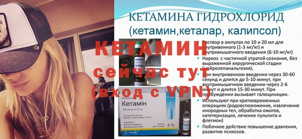 гидра Балахна