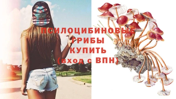 гидра Балахна