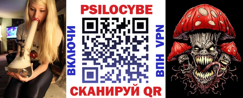 Псилоцибиновые грибы Psilocybe  Шатура 